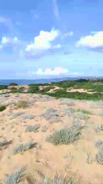 cazzoofun webcam model stream image