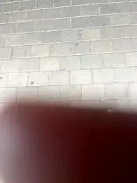 012ptaDickBBC webcam model stream image