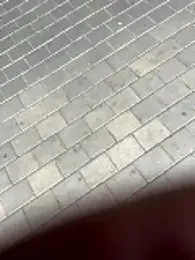 012ptaDickBBC webcam stripchat model stream image