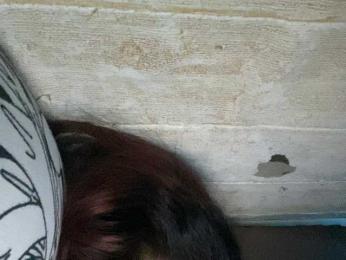 Rainie webcam model stream image