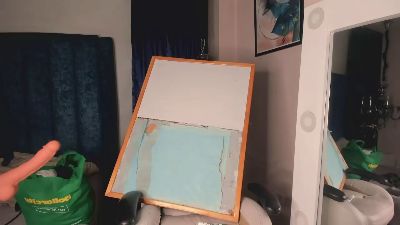 BryCams3 webcam model stream image