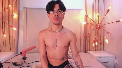 BryCams3 webcam model stream image