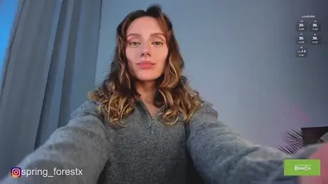 spring_forest webcam model stream image