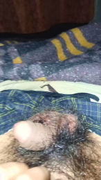 eslikon1 webcam model stream image