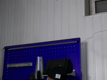 dustyn_fox webcam model stream image