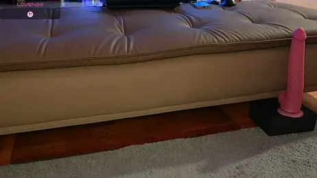 PawgOfficial webcam stripchat model stream image