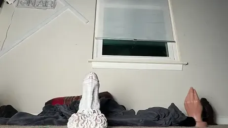 Theonlydreamybull webcam model stream image