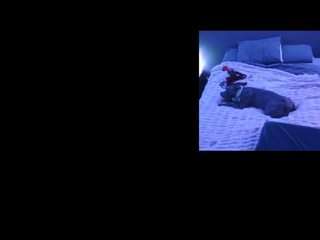 donsterak webcam model stream image