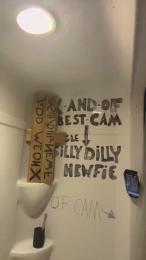 sillydillynewf webcam model stream image