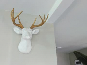 paul_reyborg webcam model stream image