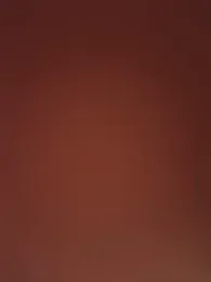 HungasiancockTW webcam model stream image