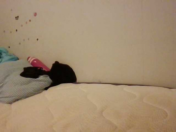 starlight1983 webcam model stream image