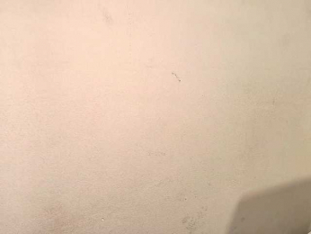 arletpink webcam model stream image