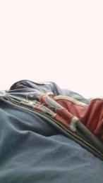 jibman2 webcam model stream image