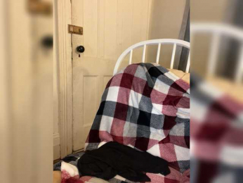 Sexyred3141-1 webcam model stream image