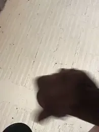 fran777775 webcam model stream image