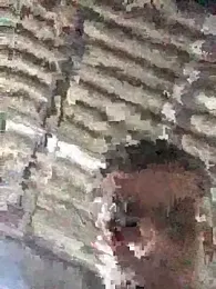 fran777775 webcam model stream image