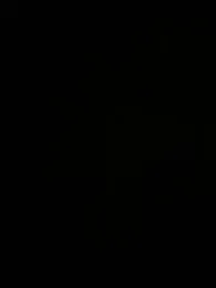 Perropa webcam model stream image