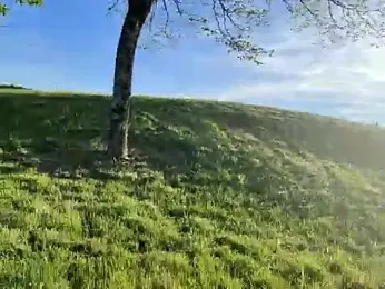 lui8181 webcam stripchat model stream image