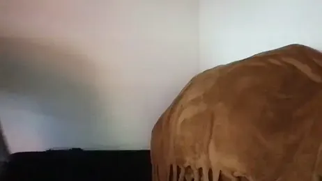 sweetceeme webcam stripchat model stream image