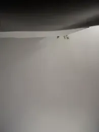 Ninabigtitied webcam model stream image