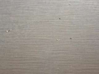 madelineking webcam camsoda model stream image