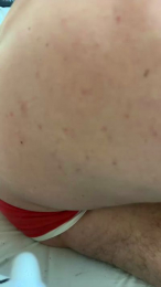 Apolocollo webcam model stream image