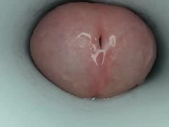 jeffrodgerschaturbat webcam model stream image