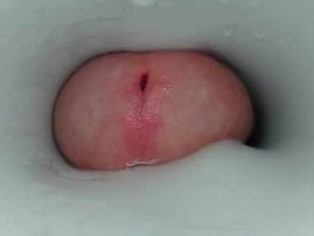 jeffrodgerschaturbat webcam model stream image