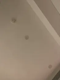 MEOW_MEO webcam model stream image