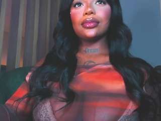 teerry webcam model stream image