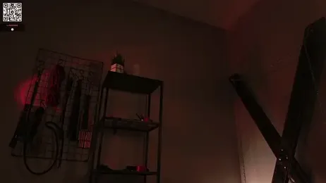 VortexProject webcam model stream image