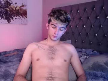 mr_williseo webcam model stream image