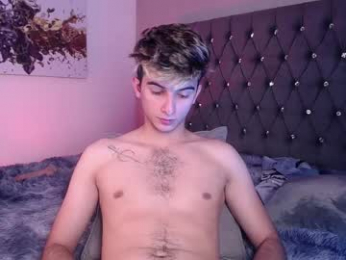 mr_williseo webcam model stream image