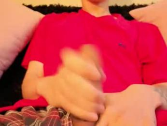 bumblubee webcam model stream image