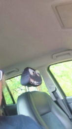 pegg_cunilingus webcam model stream image