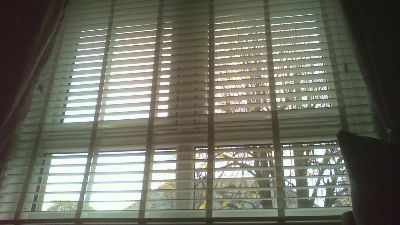 scotlad52 webcam model stream image