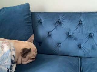 laladoll webcam model stream image