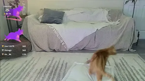 030_VIVI webcam model stream image