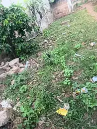 Black-mamba-madingo webcam model stream image