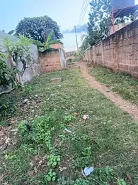 Black-mamba-madingo webcam model stream image