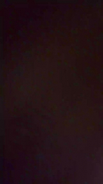 Master_SLR webcam model stream image