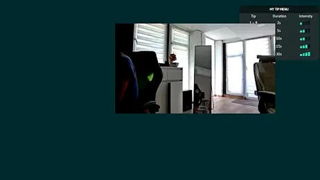 RealDestinySin webcam model stream image