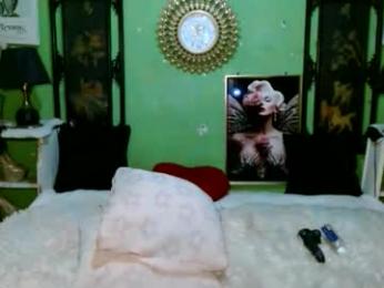 seductivecatxxx webcam model stream image