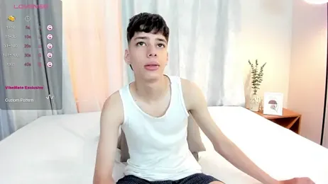 oblivion_deku webcam model stream image