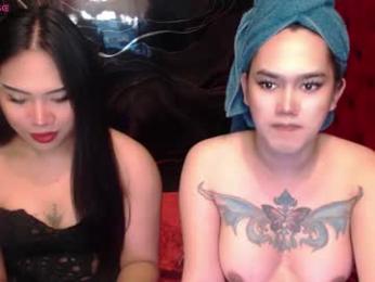 tsasianseductivehot webcam chaturbate model stream image