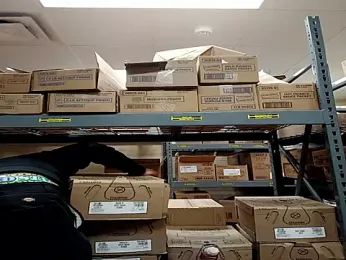 Dropdingo webcam model stream image