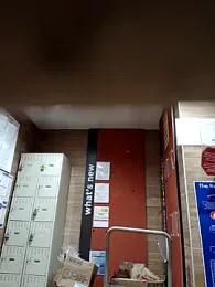 Dropdingo webcam model stream image