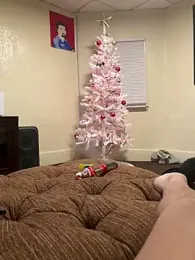 PittsburghKing webcam model stream image