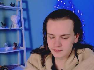 stive-prime webcam model stream image